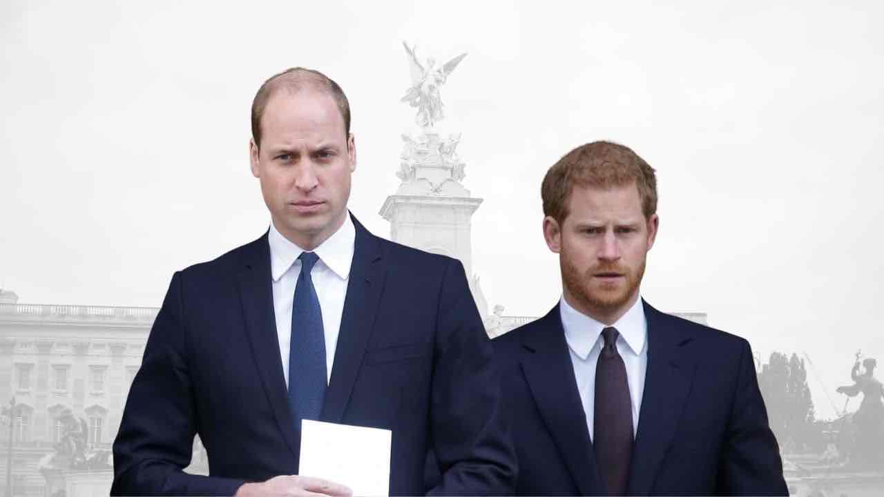 Harry e William (foto newsby, newsby)