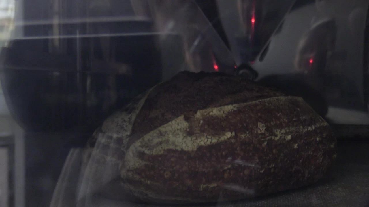 Pane con la farina di grillo