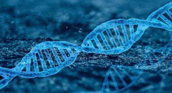 Età biologica, gli anni non contano: arriva un test per calcolarla