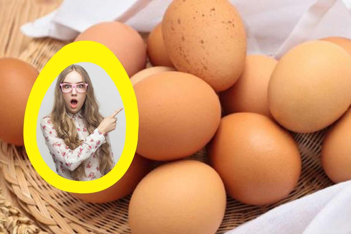Cosa succede si mangi un uovo al giorno