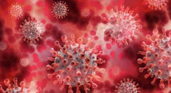 Covid, la pandemia è finita? Risponde l’Oms