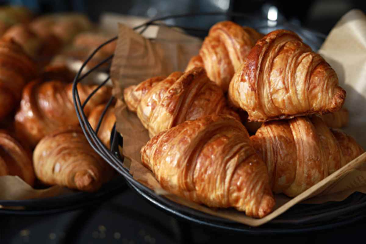 Dolci con farina di grillo Italia