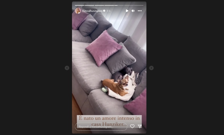 michelle hunziker cani
