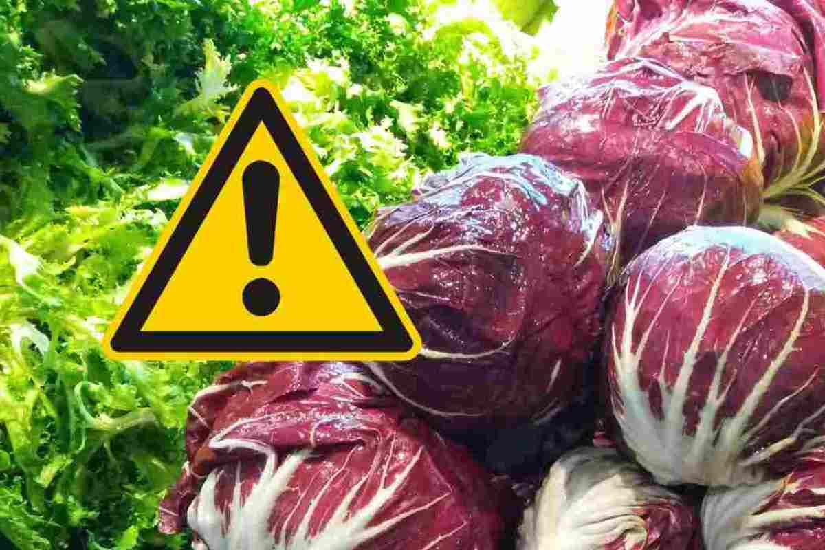 Radicchio, se você tem essas doenças, é melhor evitá-las: os efeitos são muito graves