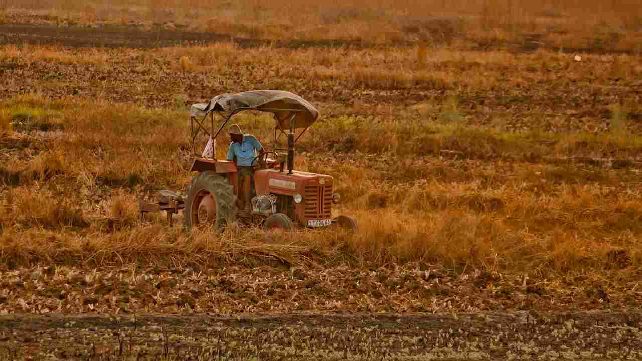 Un lavoratore agricolo