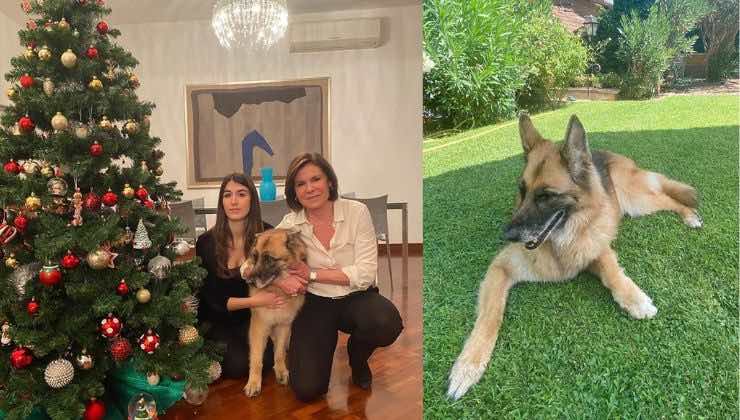 bianca berlinguer casa elegante