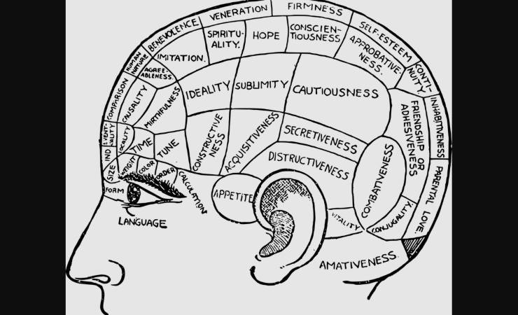 Diversi test sul web per calcolare l'intelligenza
