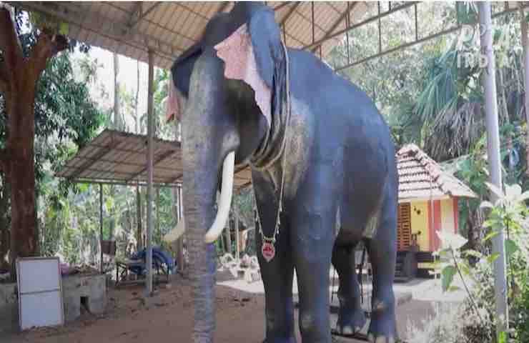 Elefante meccanico