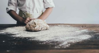 Farine di insetti, l’Italia vara 4 decreti: cosa prevedono