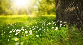 Il 23 marzo si celebra la Giornata Mondiale della Meteorologia