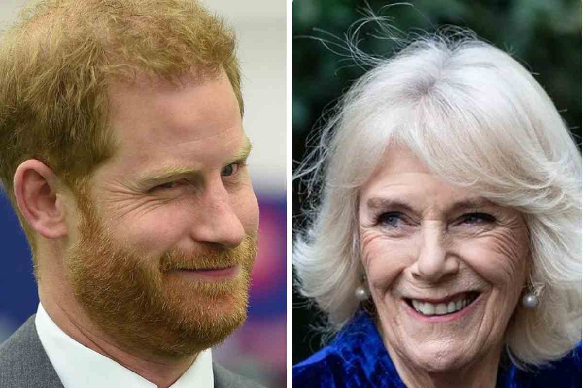 Harry accusa Camilla