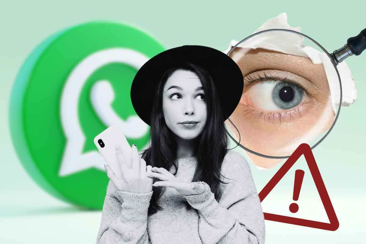 Whatsapp spia