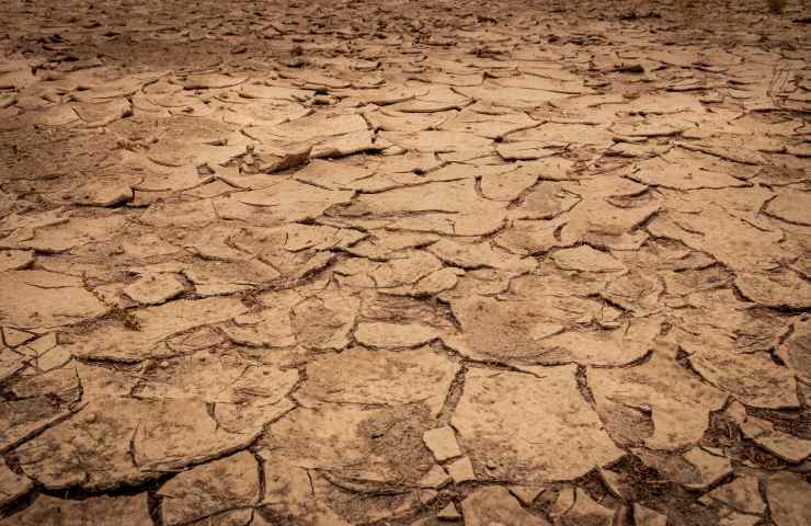 Terra arida, colpita dalla siccità