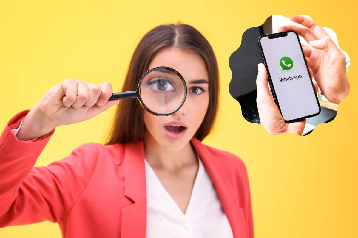 whatsapp chat segrete