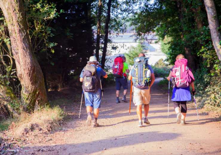 ¡Caminar beneficia el estado físico y más!