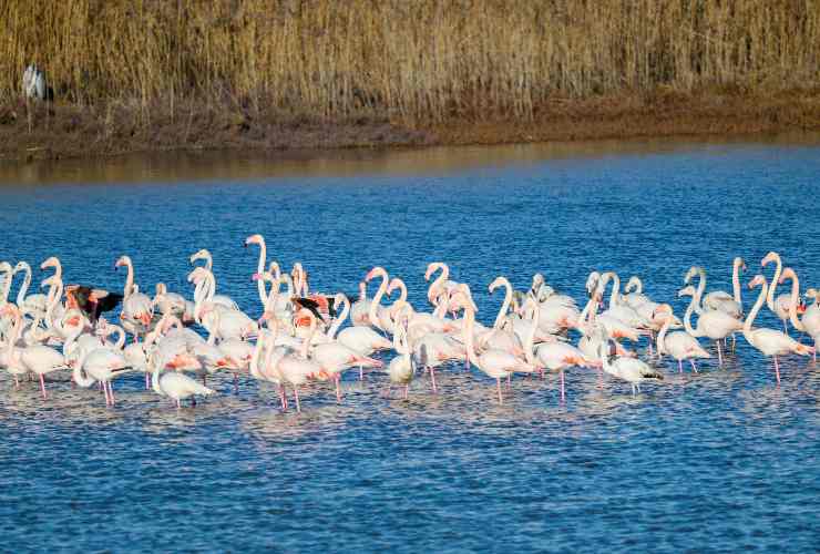 La meta romantica in Italia che dovete visitare quest'anno