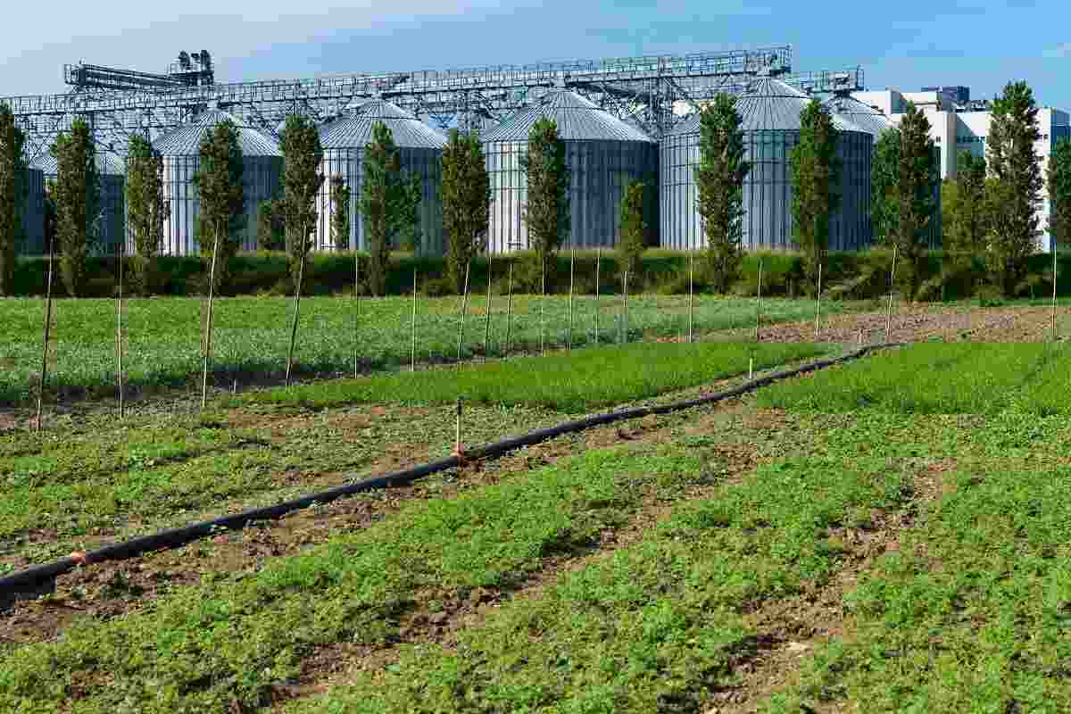 Campi Davines e Barilla a Parma