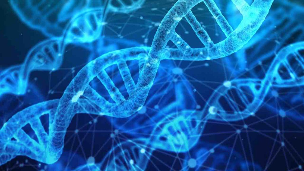 Dna