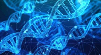Del Dna umano è stato isolato da un ciondolo del Paleolitico
