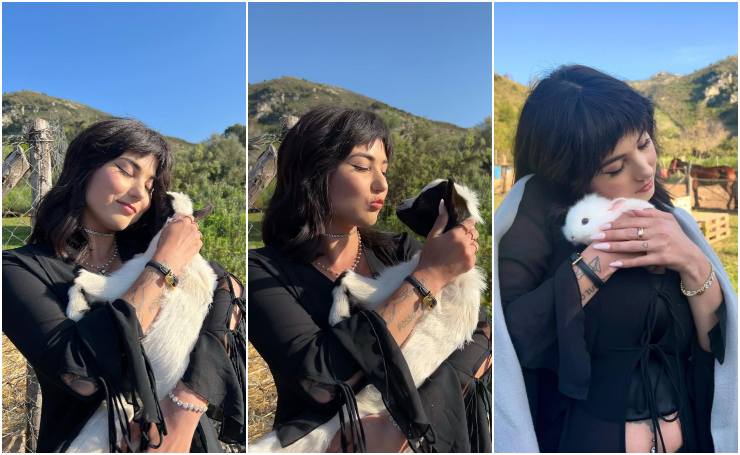 giorgia soleri post animali instagram