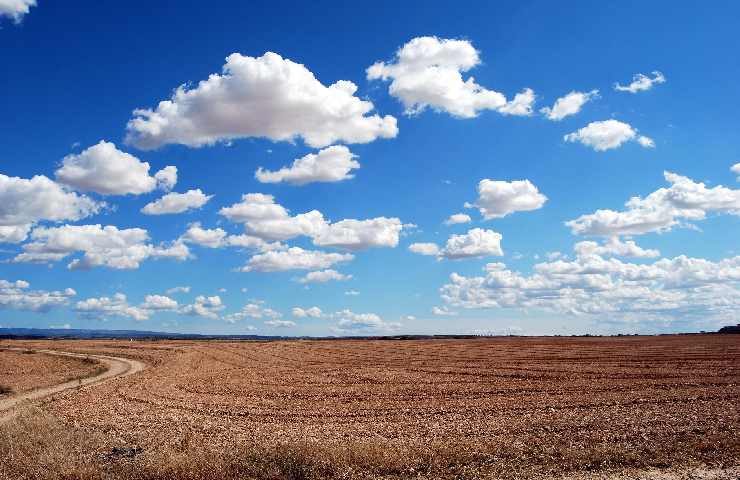 Panorama natura