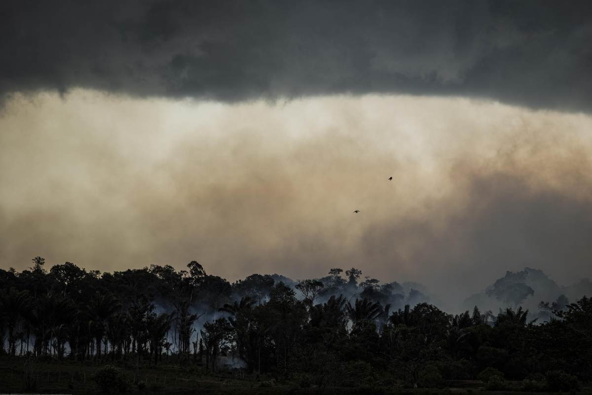 La deforestazione in Amazzonia è un esempio di ecocidio