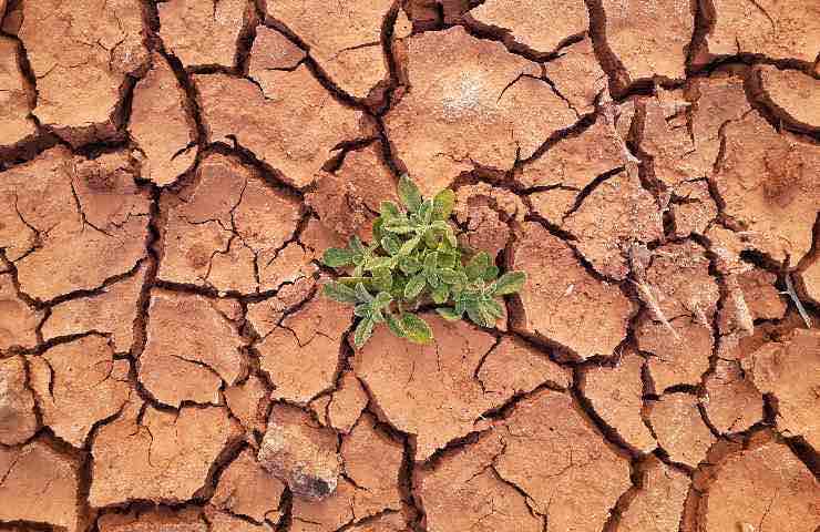 Un'immagine del cambiamento climatico