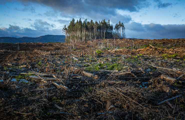 Cambiamento climatico