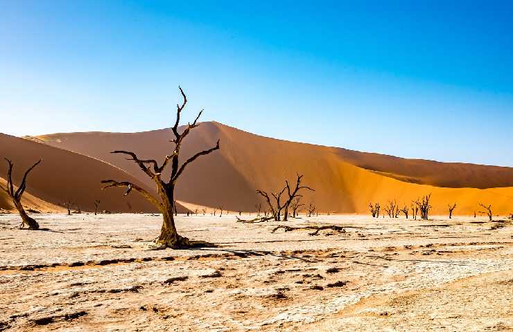 Deserto