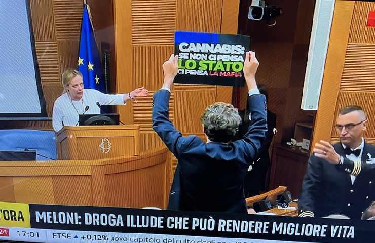 Magi solleva cartello pro cannabis