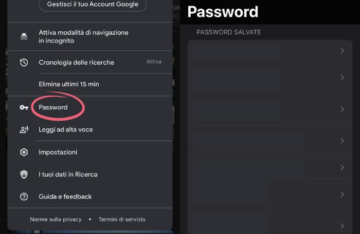 trucco password