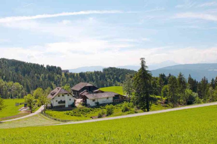 agriturismi panoramici Ronacherhof