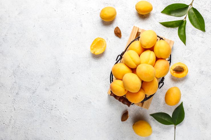 Dieta di luglio