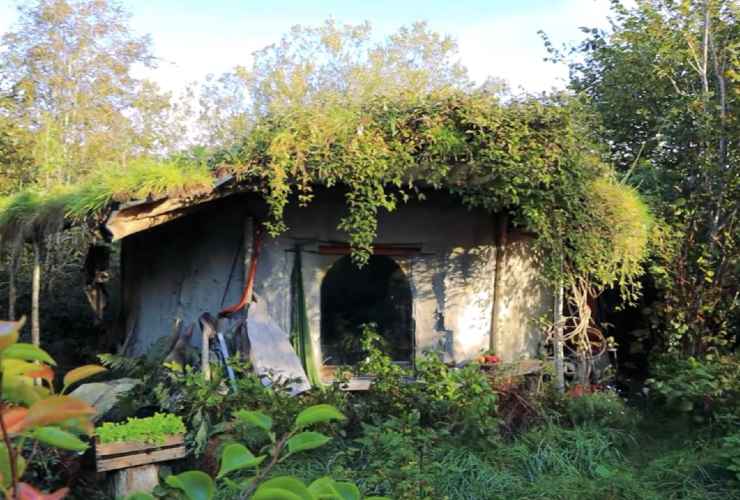 Donna anziana vive in una piccola casa nel bosco