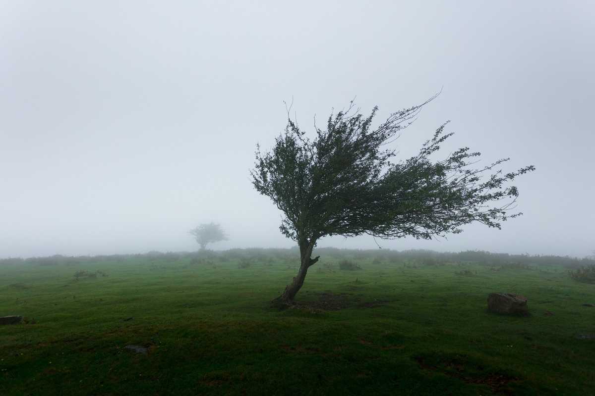 Fenomeno del downburst, contraddistinto da forti raffiche di vento