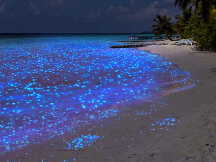 Spiaggia Stellata