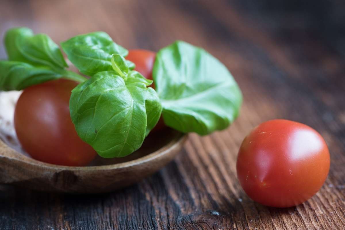 Un piatto che può diventare un antipasto originale e saporito con la sua combinazione di sapori mediterranei e la cremosità del formaggio