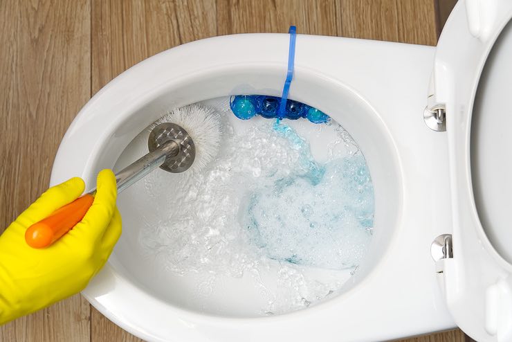 Scopino del bagno: come igienizzarlo