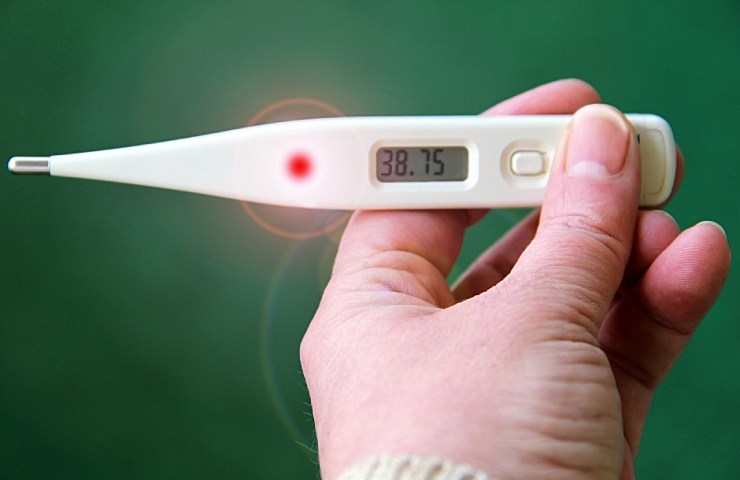 Un termometro che segna della febbre
