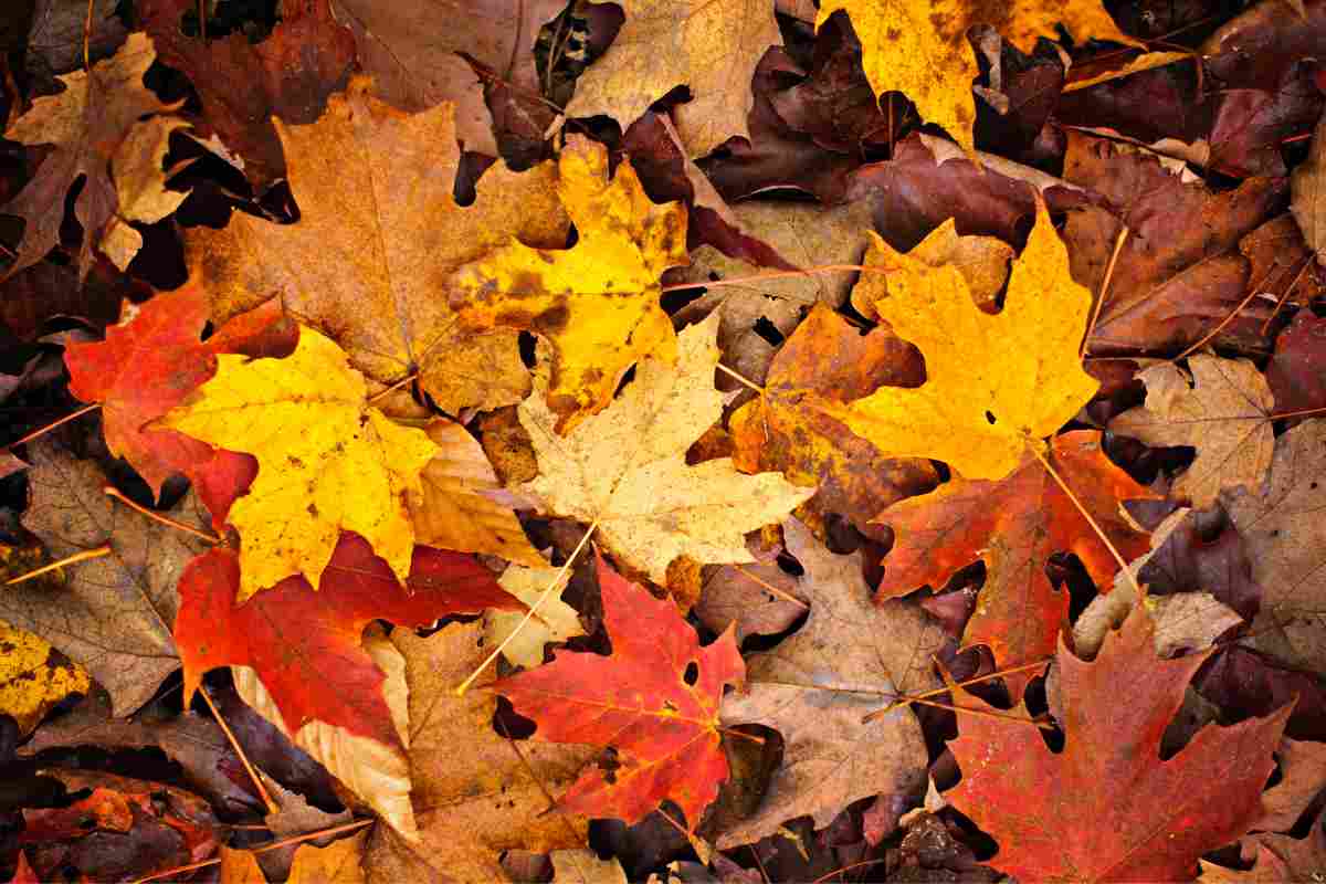 L'Autunno non arriva