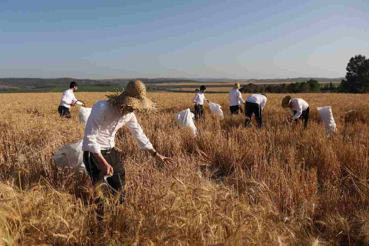 Gli abitanti di un kibbutz