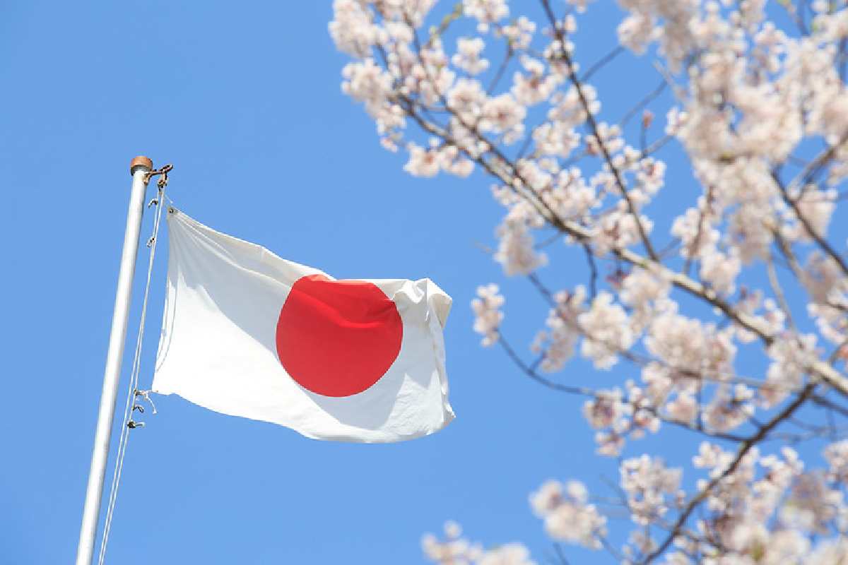 Bandiera Giappone con ciliegi attorno