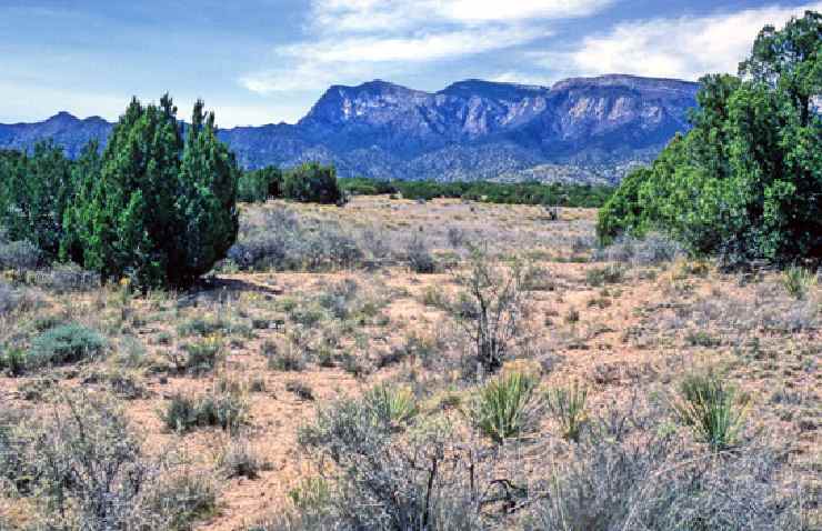 Paesaggio tipico del Nuovo Messico negli Stati Uniti