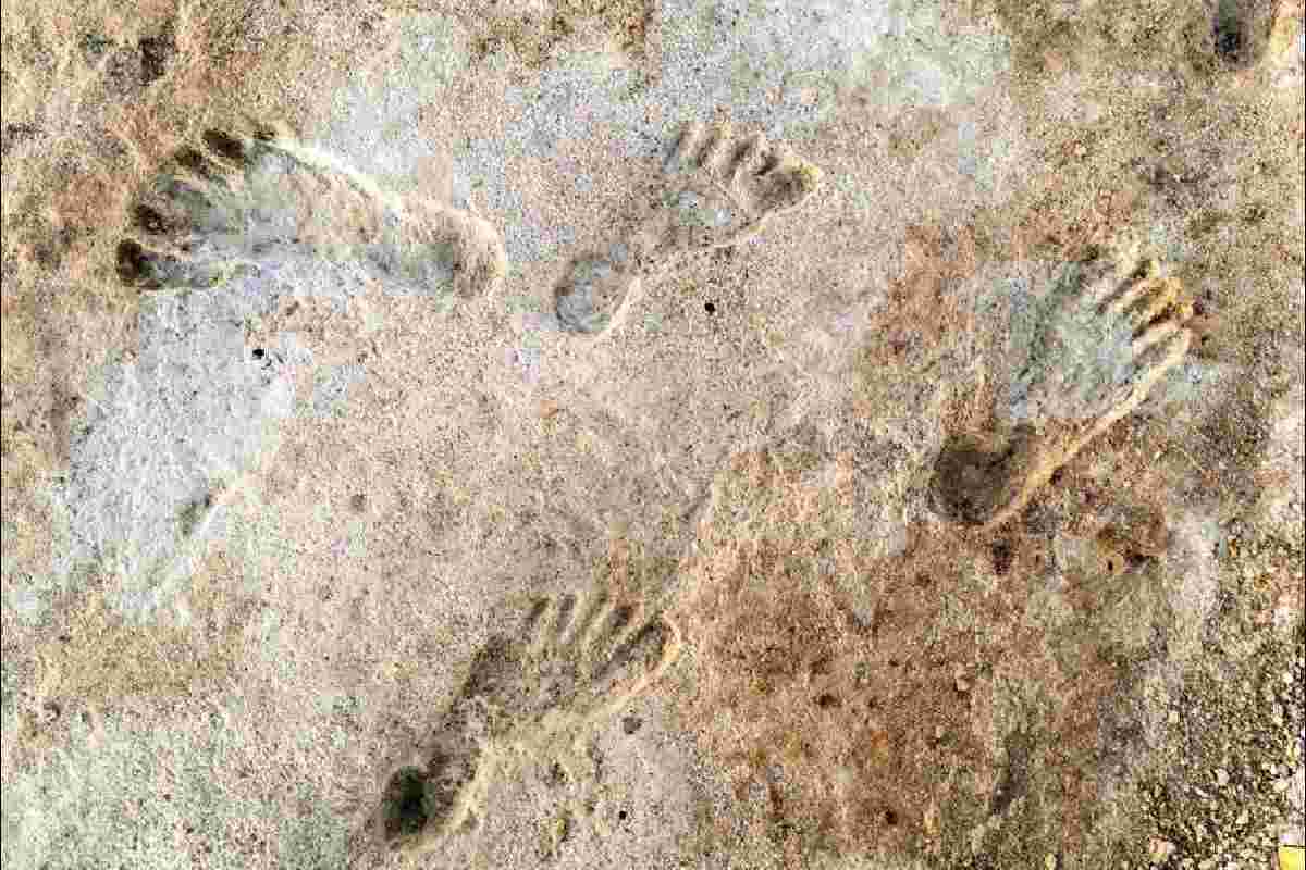 Impronte di piedi su terreno chiaro