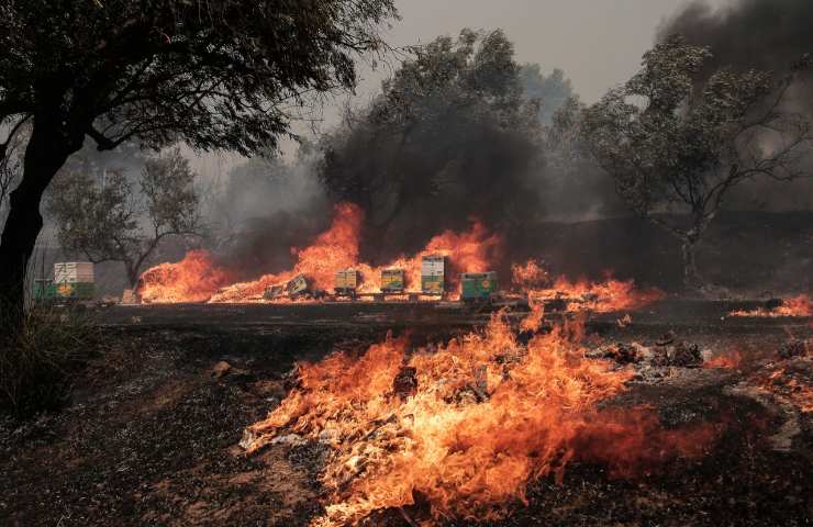 Incendi in Grecia 