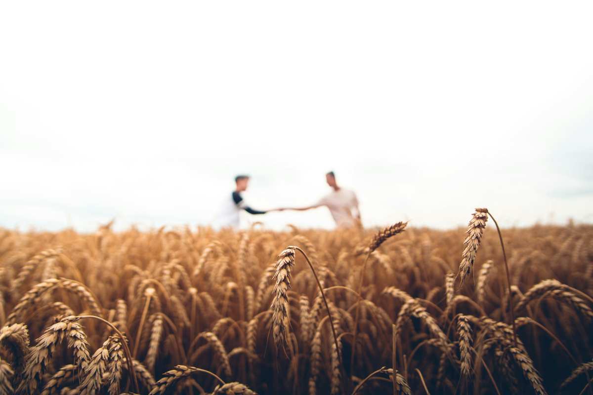 Gli agricoltori italiani continuano a protestare contro la Politica agricola comune