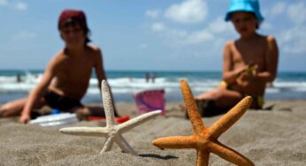 Tutela abitanti marini: parte il tour della Lav nelle spiagge per insegnare l’educazione ambientale