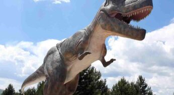 I dinosauri tornano in Italia: il 22 giugno si inaugura il Dino Park 2.0