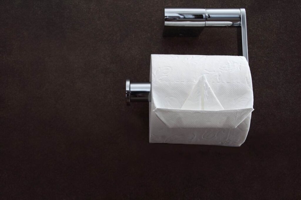 Un rotolo di carta igienica