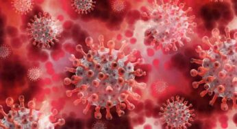 Coronavirus, Hku5-CoV-2 potrebbe diventare il nuovo Covid-19? Quel che bisogna sapere